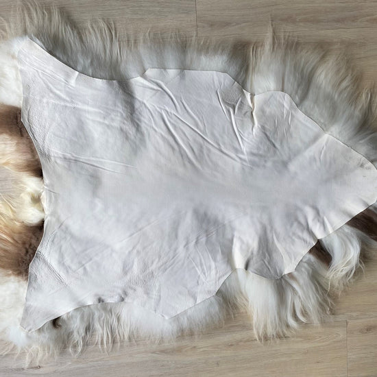 Heidschnucke Weiß mit Braunen Punkten