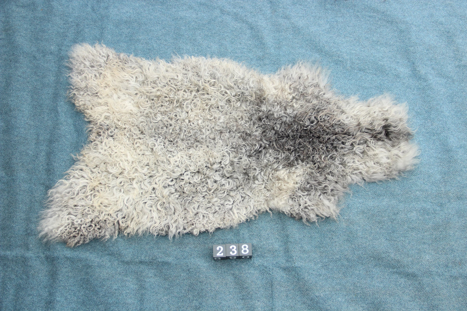 Gotland Schaffell (238)