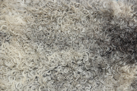 Gotland Schaffell (238)