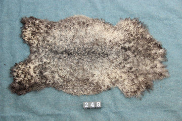 Gotland Schaffell (248)