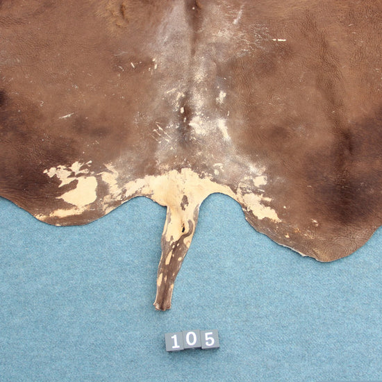 Deutsches Bisonfell (105)