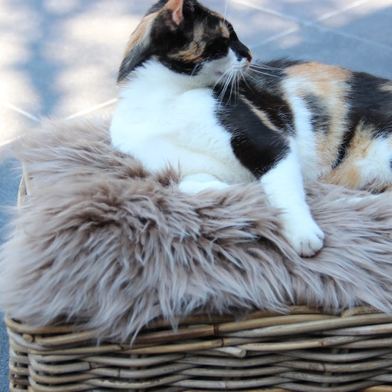 Lammfell Sitzauflage Rund Taupe (braun)