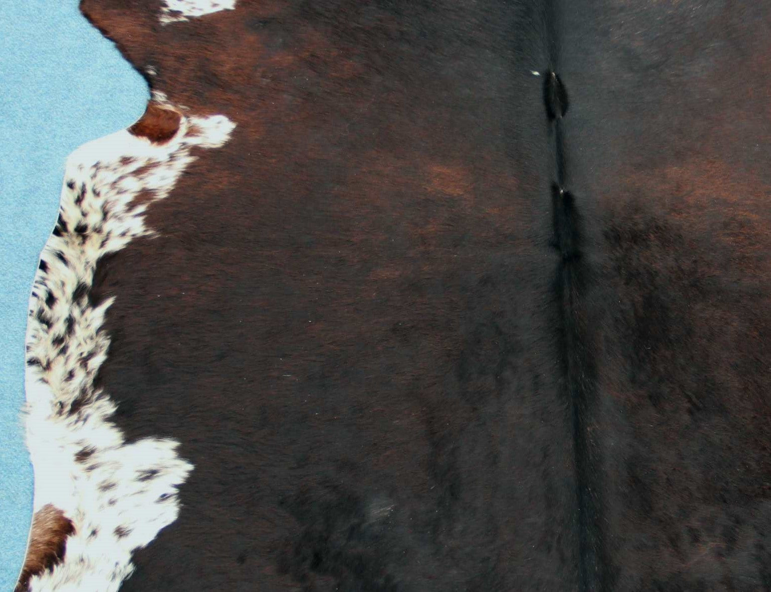 Kuhfell Schwarz Braun Weiß gepunktet (3441)