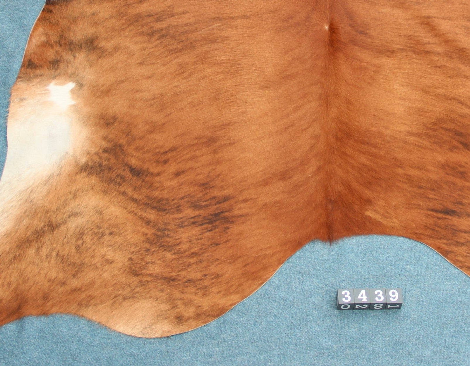 Kuhfell Schwarz Braun Weiß getigert (3439)