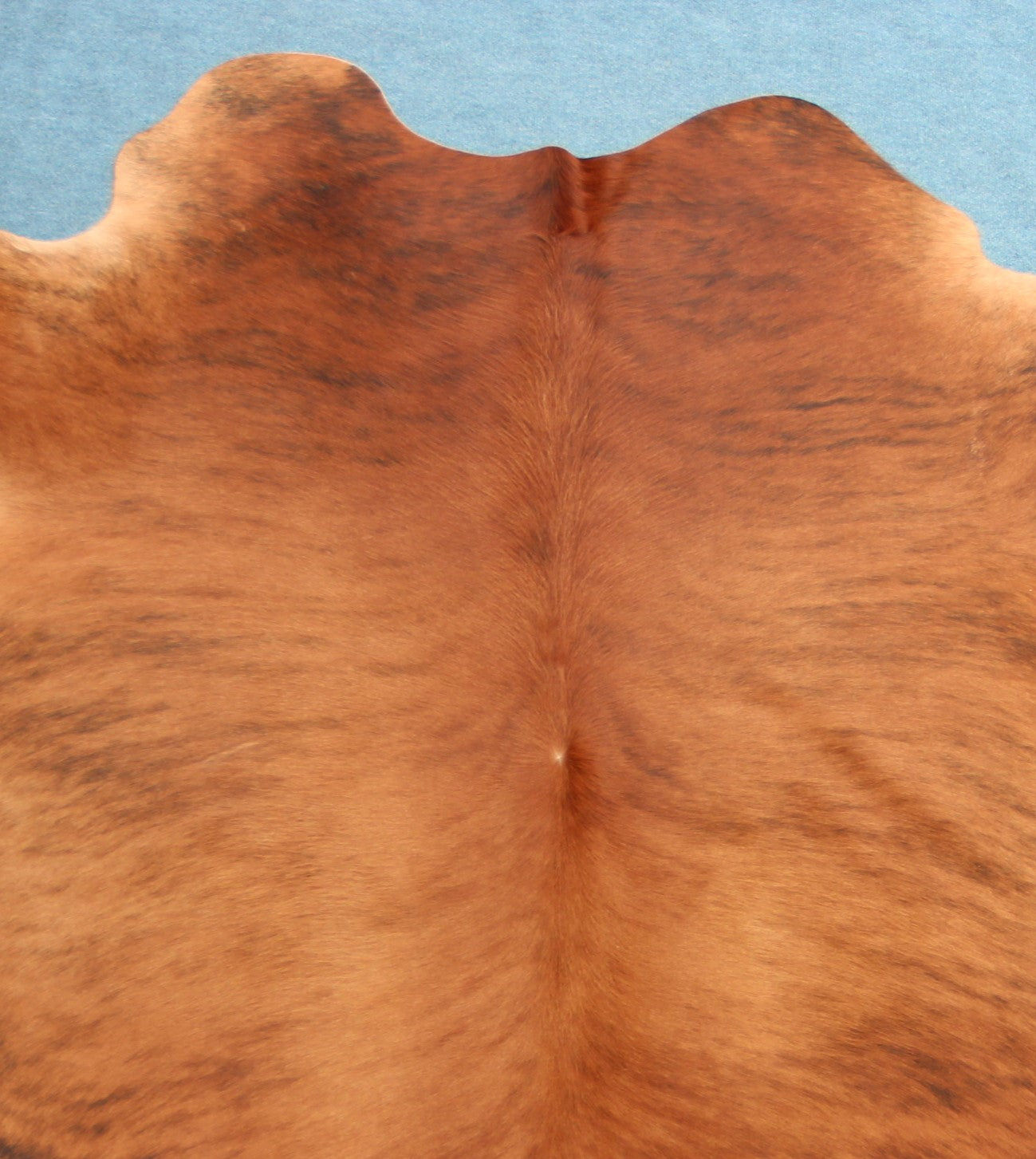 Kuhfell Schwarz Braun Weiß getigert (3439)