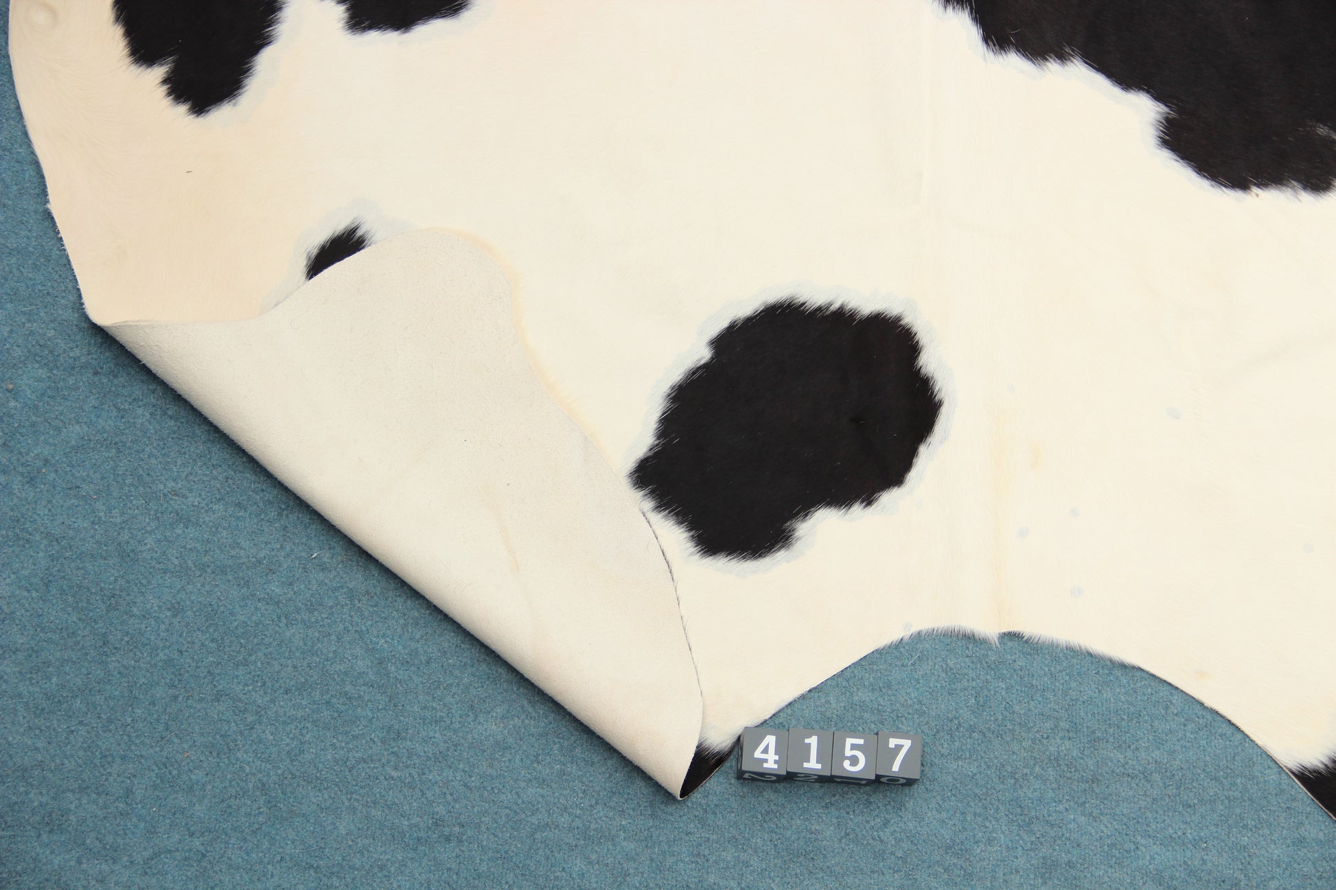 Kuhfell Schwarz Weiß gepunktet (4157) XXL 4-5qm