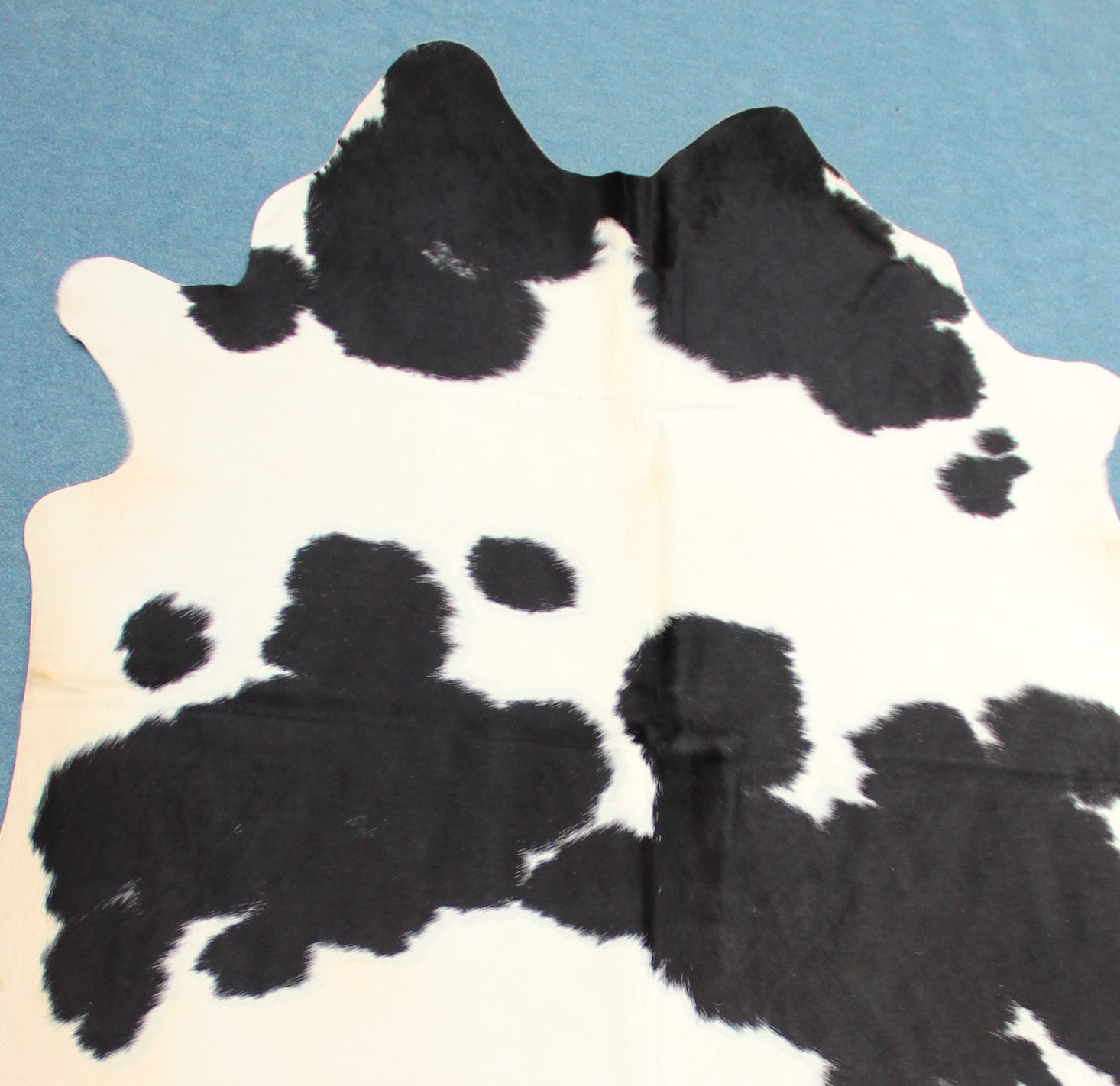 Kuhfell Schwarz Weiß gepunktet (4157) XXL 4-5qm