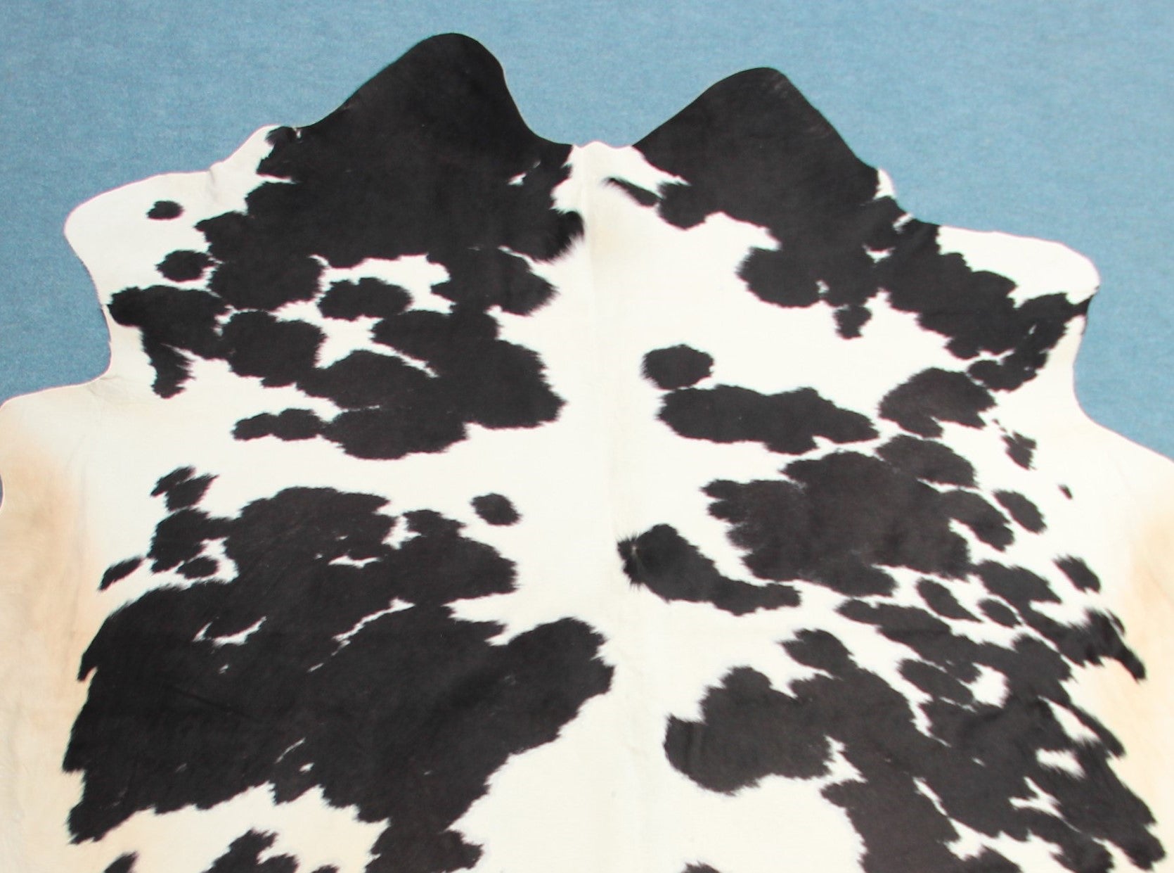 Kuhfell Schwarz Weiß Beige gepunktet (4158) XXL 4-5 qm