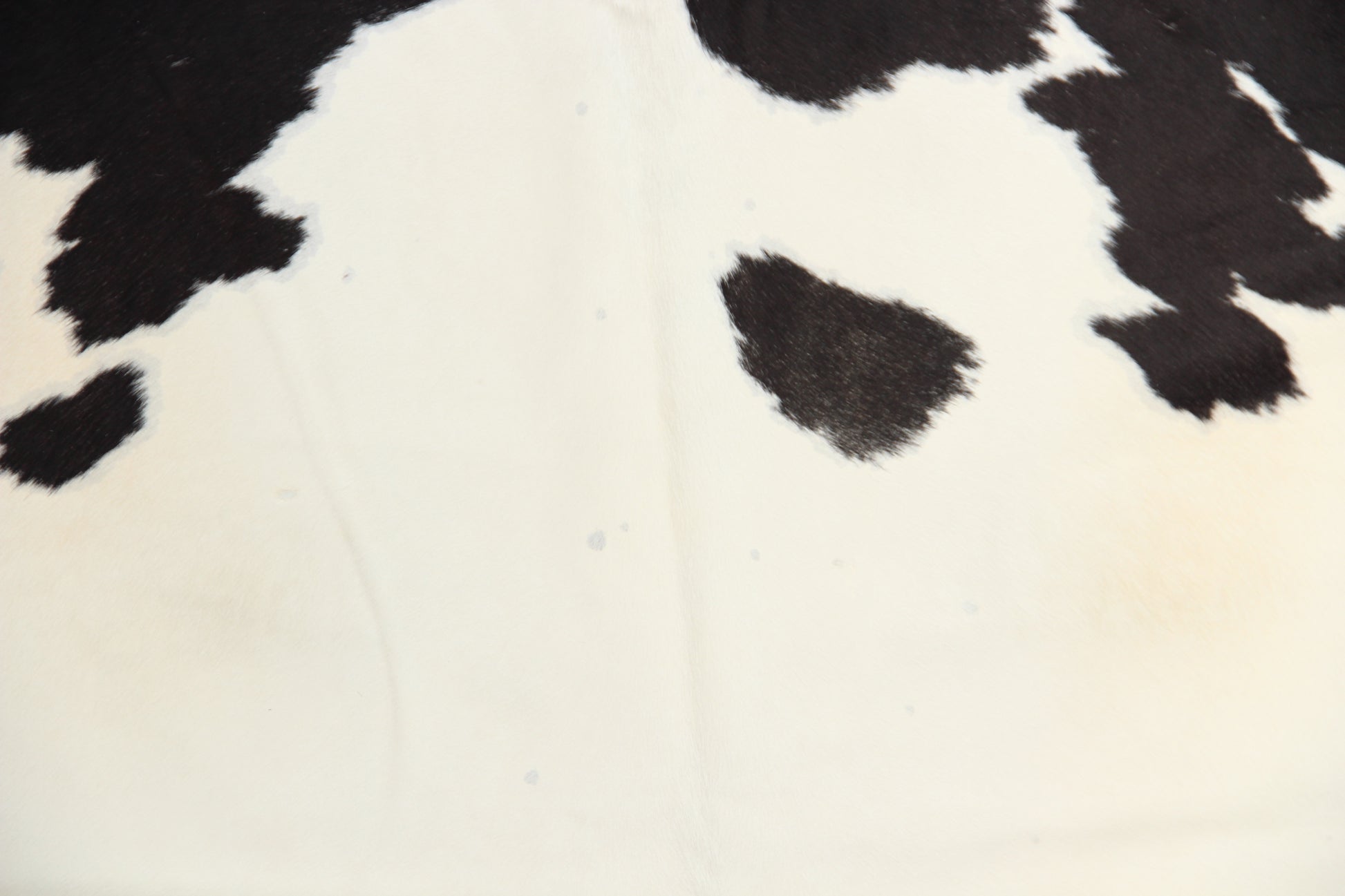 Kuhfell Schwarz Weiß Beige gepunktet (4158) XXL 4-5 qm