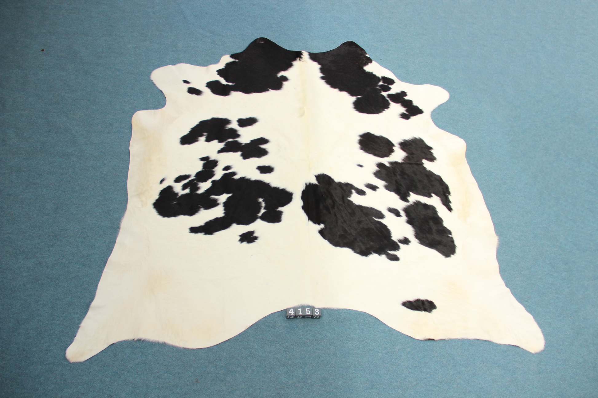 Kuhfell Schwarz Weiß gepunktet (4153) XXL 4-5qm