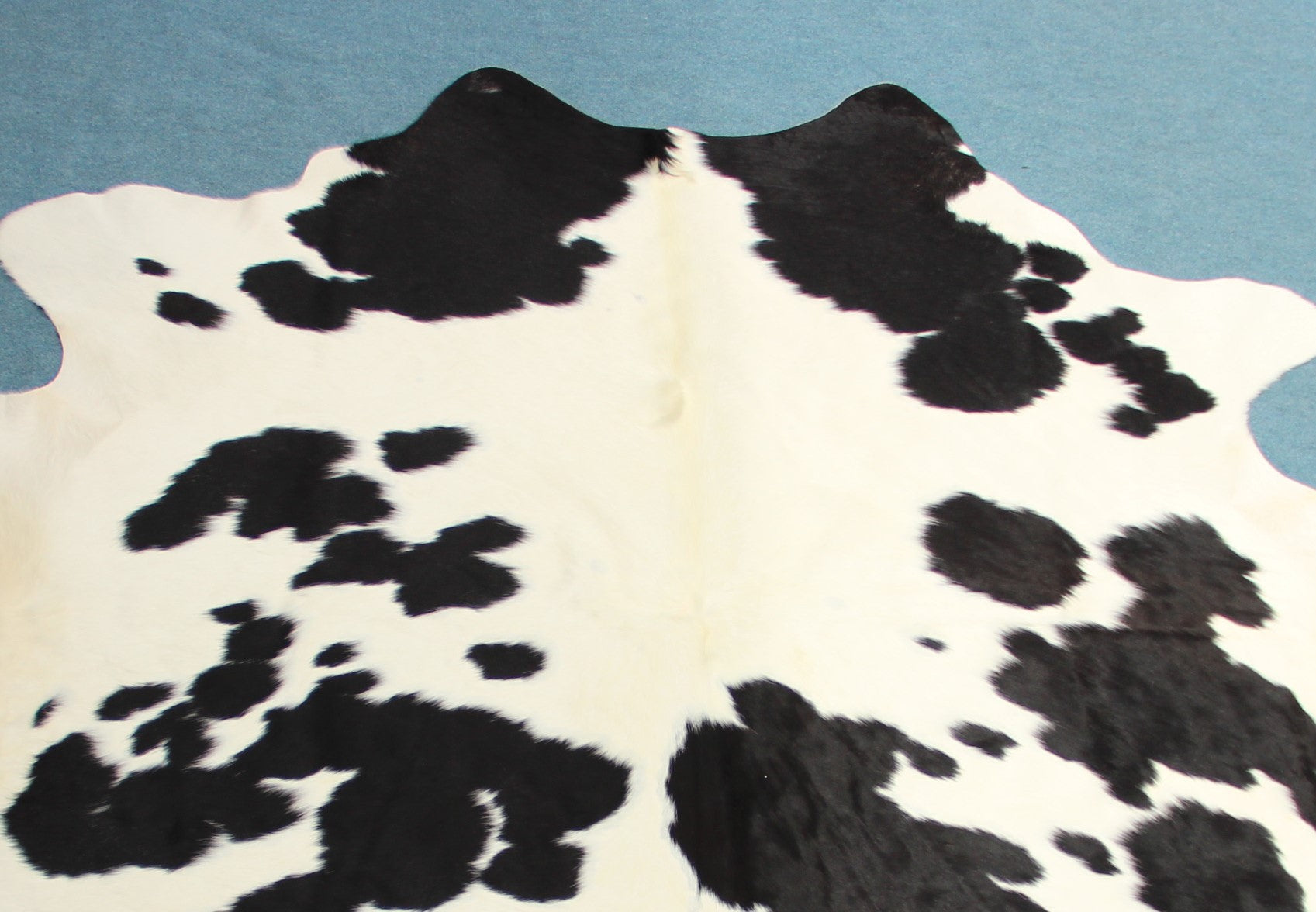 Kuhfell Schwarz Weiß gepunktet (4153) XXL 4-5qm