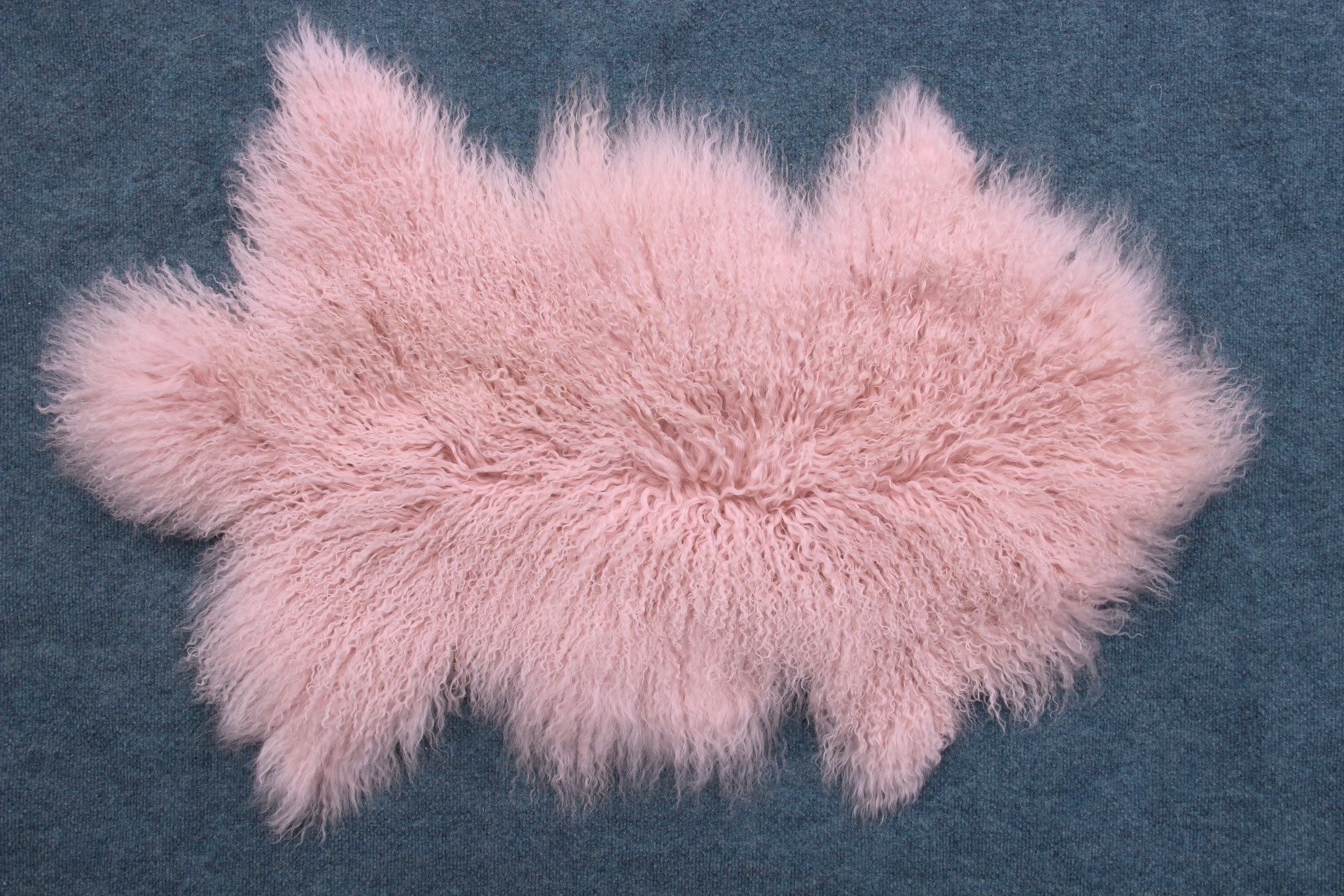 Tibet Schaffell wie Gotland pink gefärbt