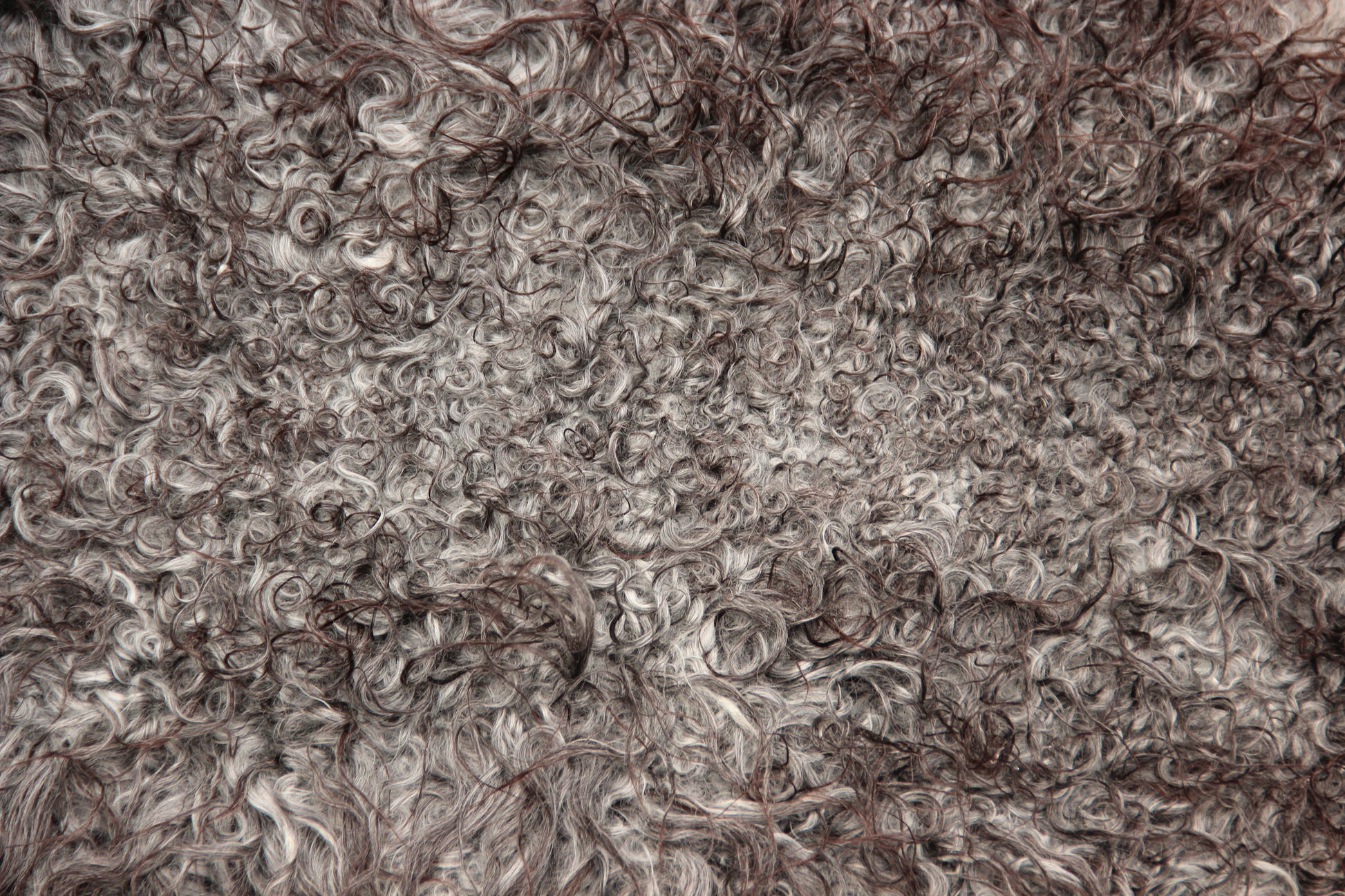 Gotland Schaffell (250)