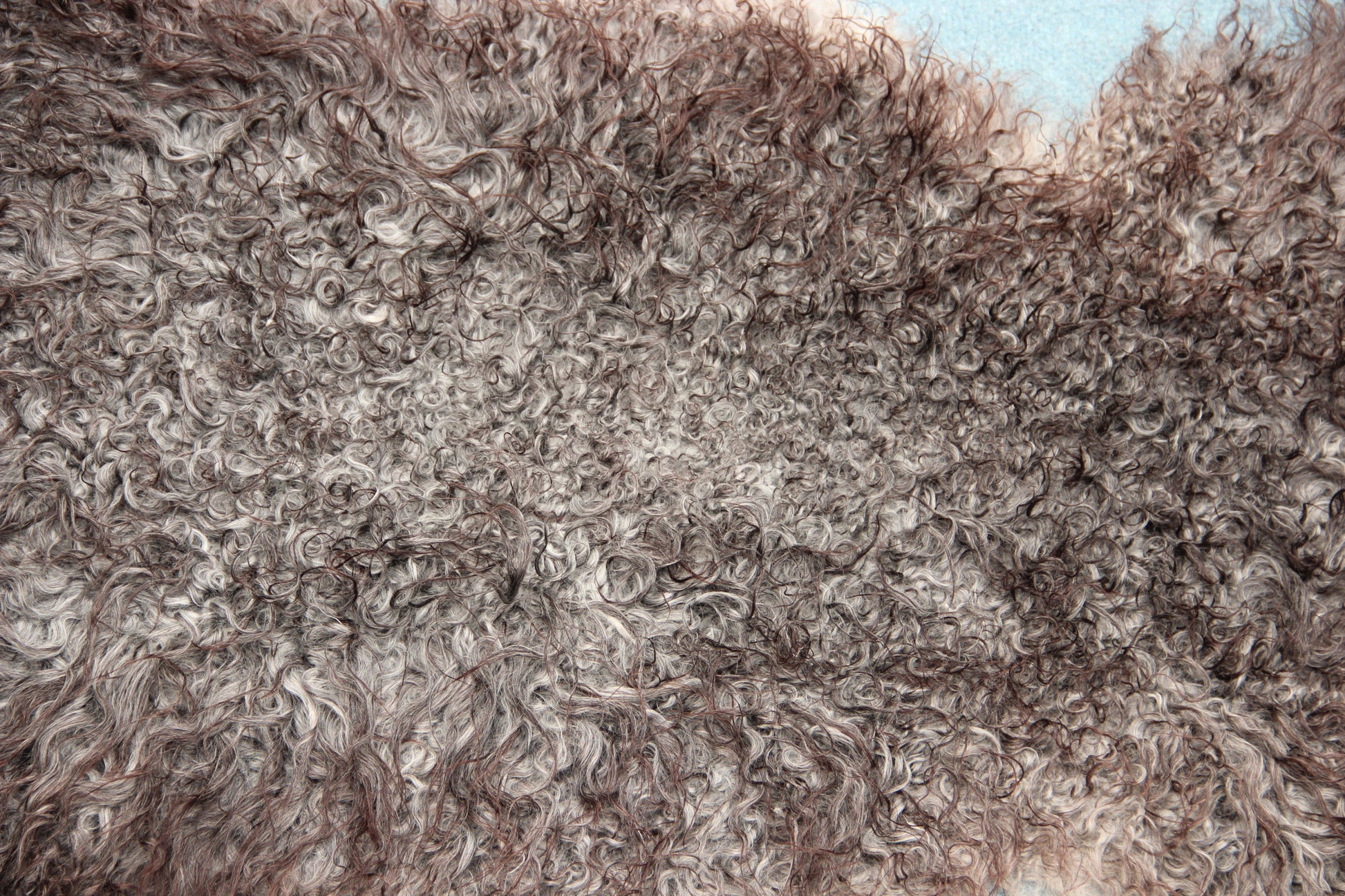 Gotland Schaffell (250)