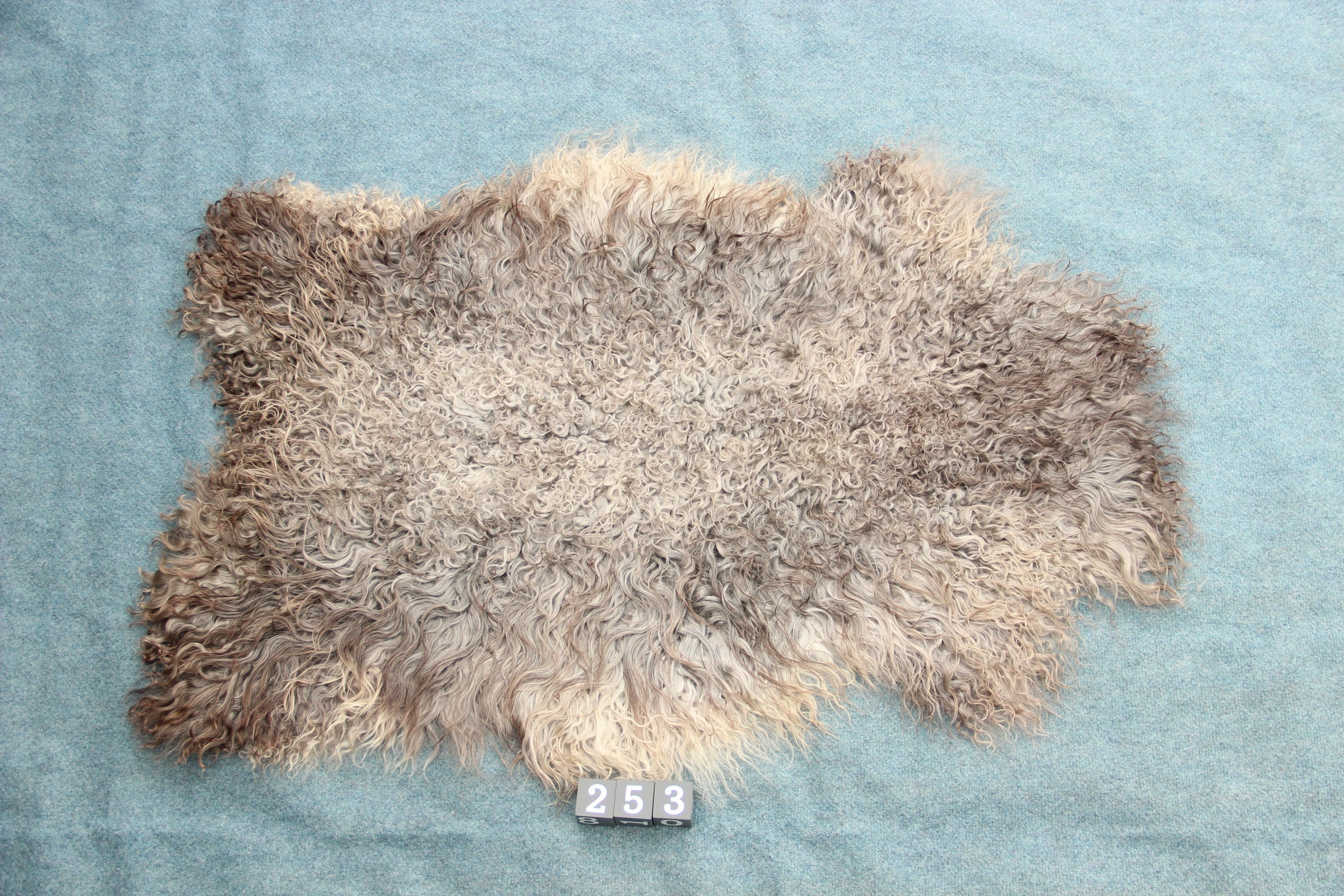 Gotland Schaffell (253)