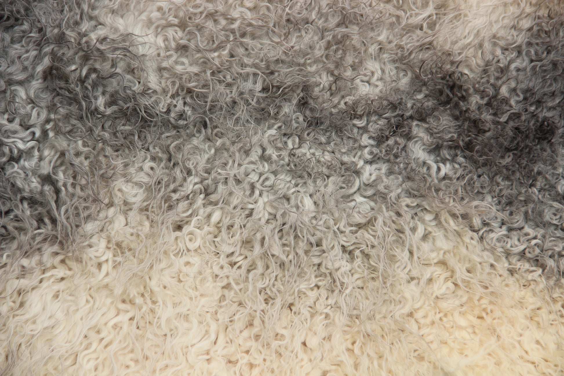 Gotland Schaffell (263)