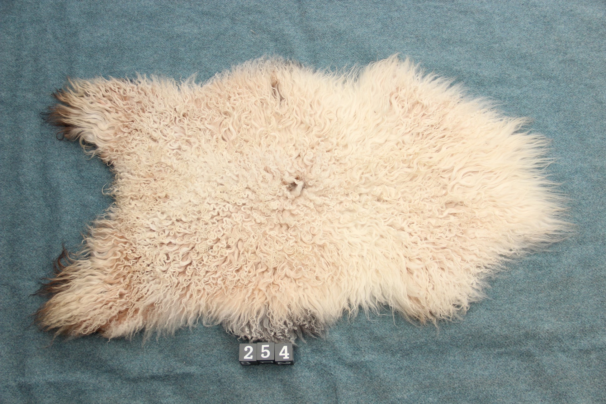 Gotland Schaffell (254)