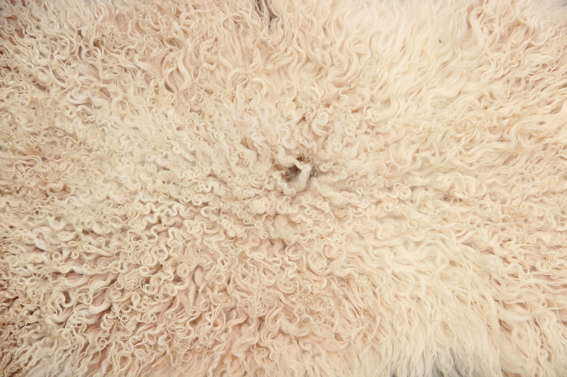 Gotland Schaffell (254)