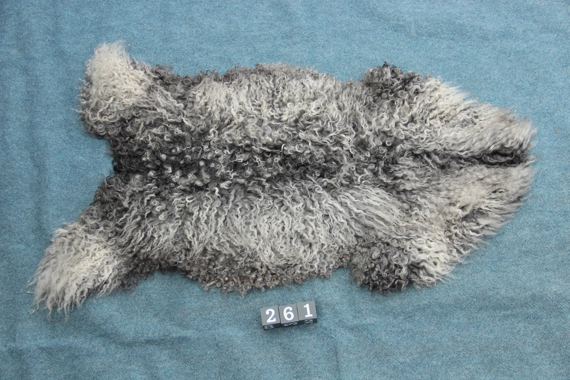 Gotland Schaffell (261)