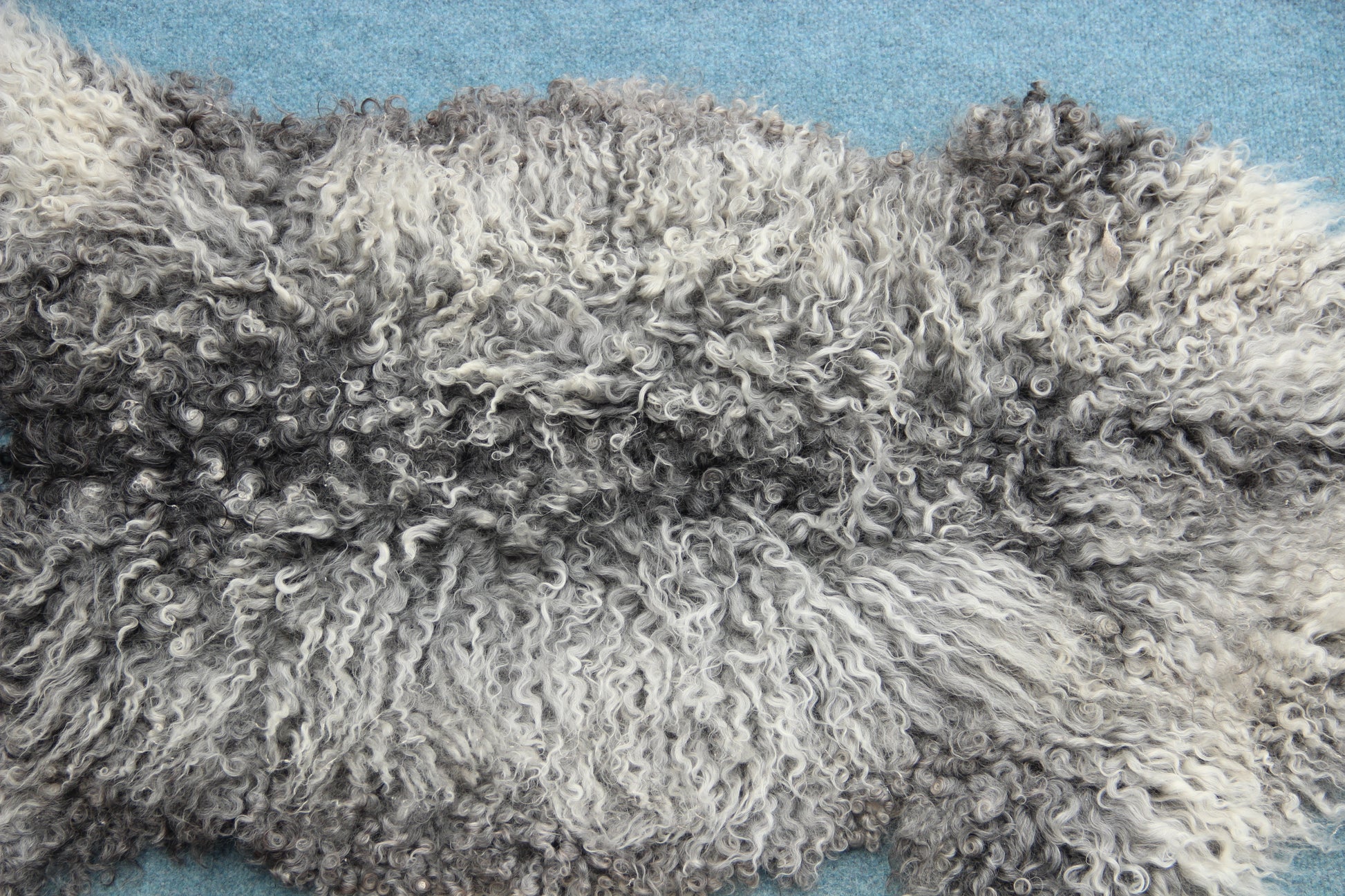 Gotland Schaffell (261)