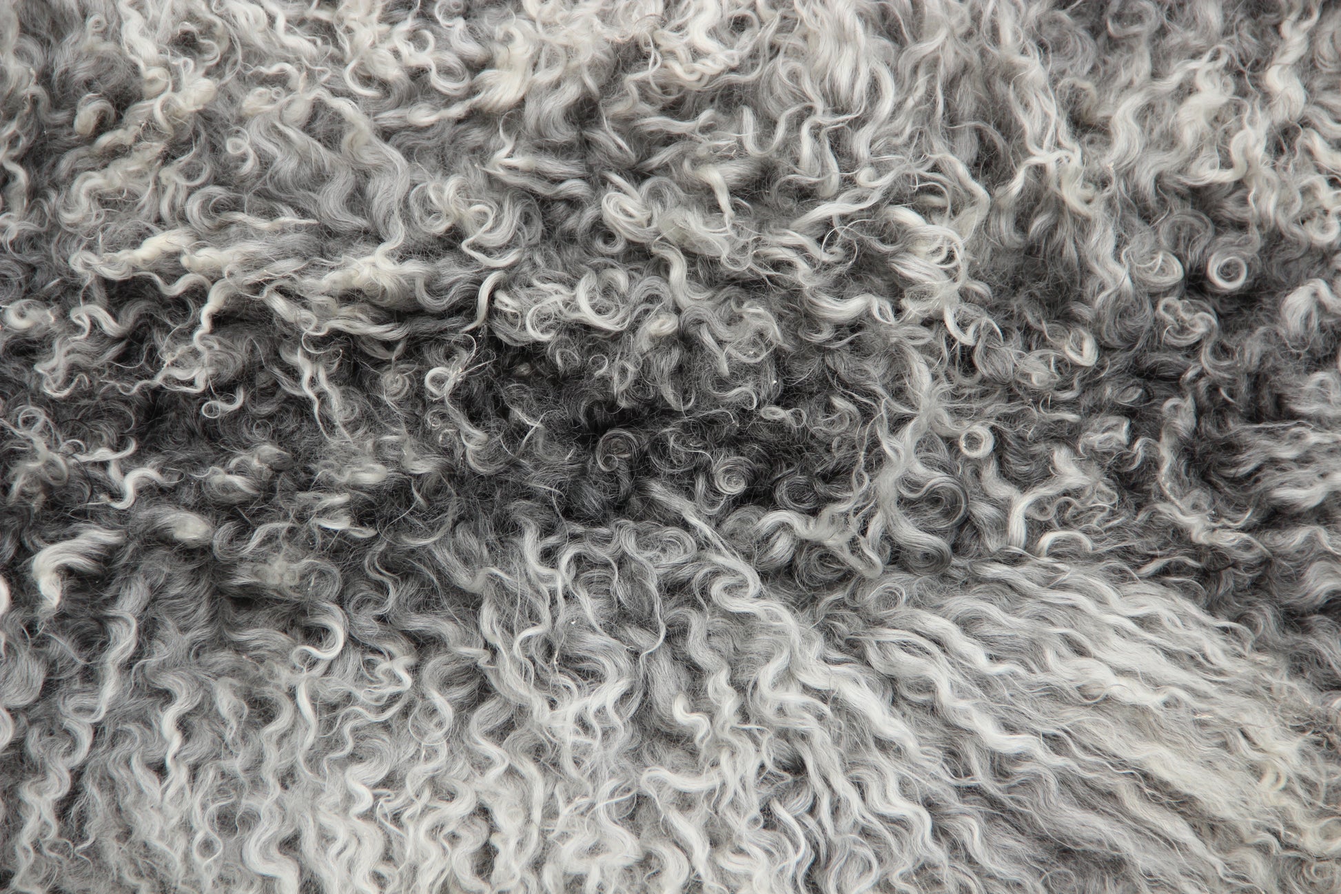 Gotland Schaffell (261)