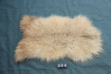 Gotland Schaffell (259)