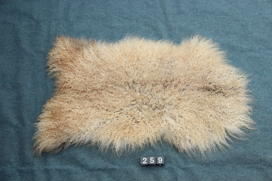 Gotland Schaffell (259)