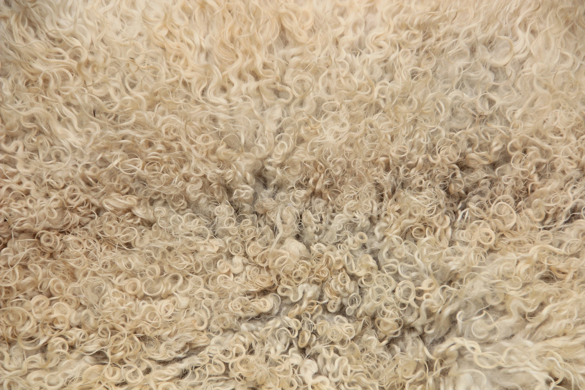 Gotland Schaffell (259)