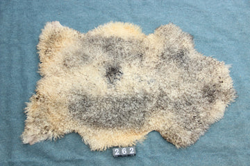 Gotland Schaffell (262)