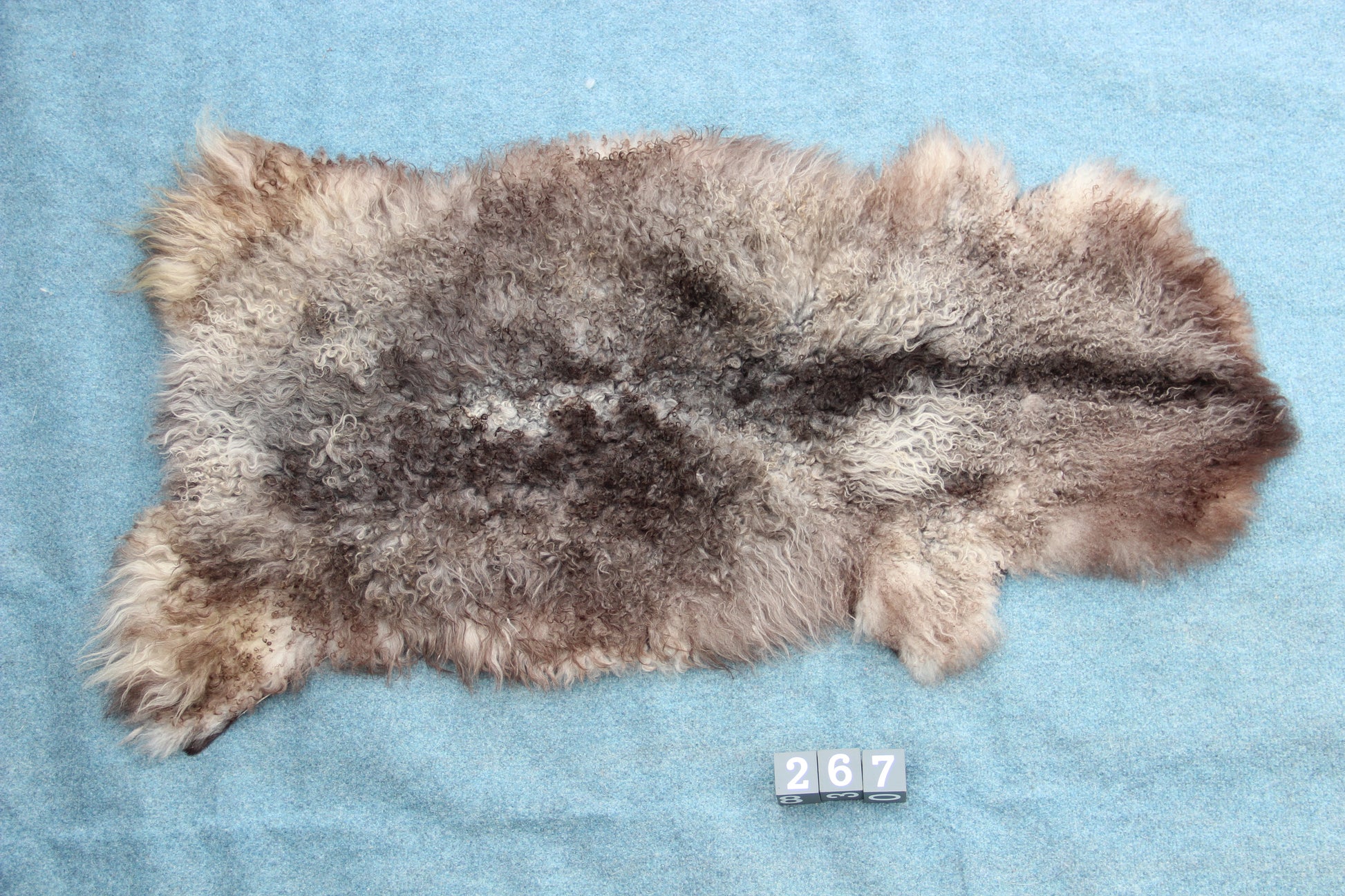 Gotland Schaffell (267)