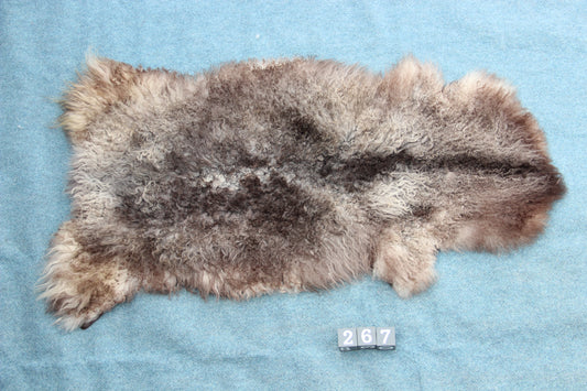 Gotland Schaffell (267)