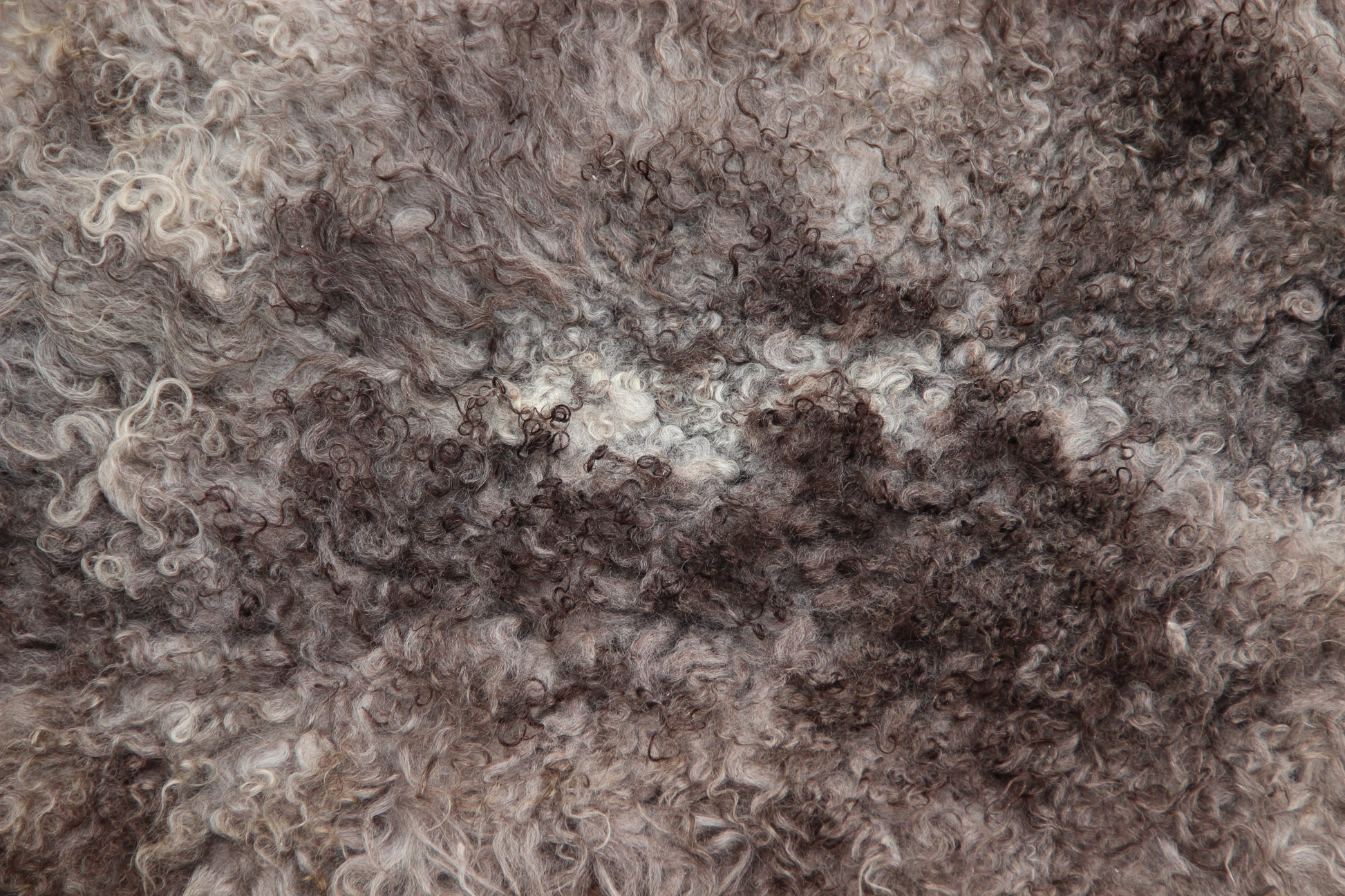 Gotland Schaffell (267)