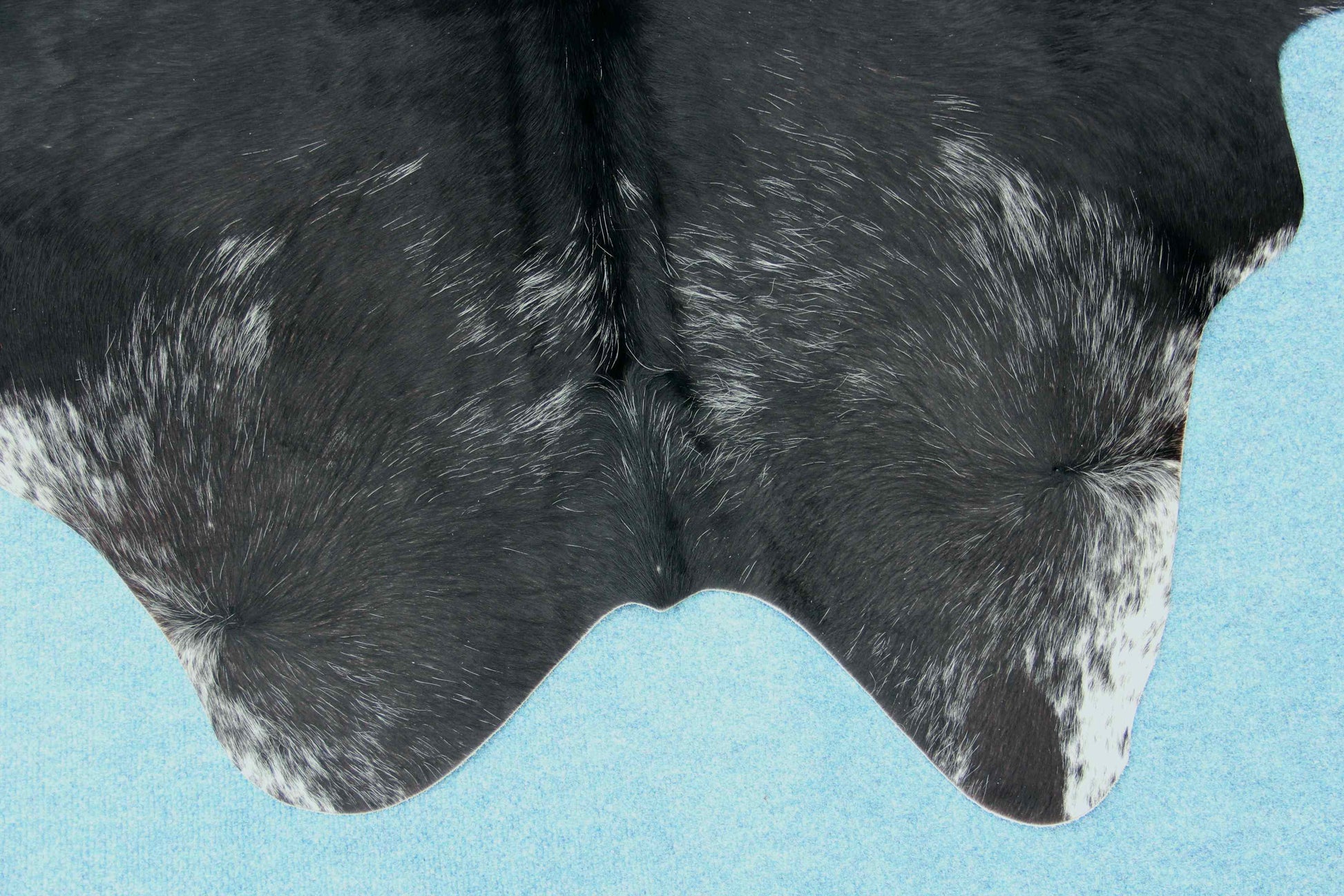 Kuhfell Schwarz Weiß gesprenkelt (2656) 2-3 qm