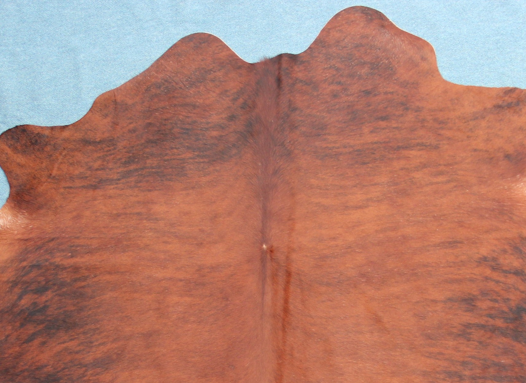 Kuhfell Braun Schwarz getigert (2662) 2-3 qm