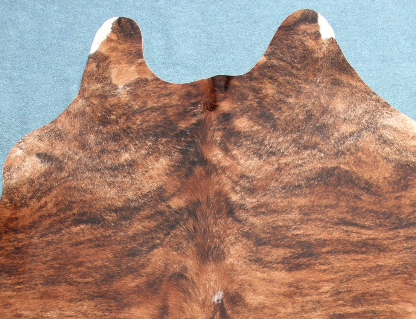 Kuhfell Braun Schwarz getigert (2663) 2-3 qm