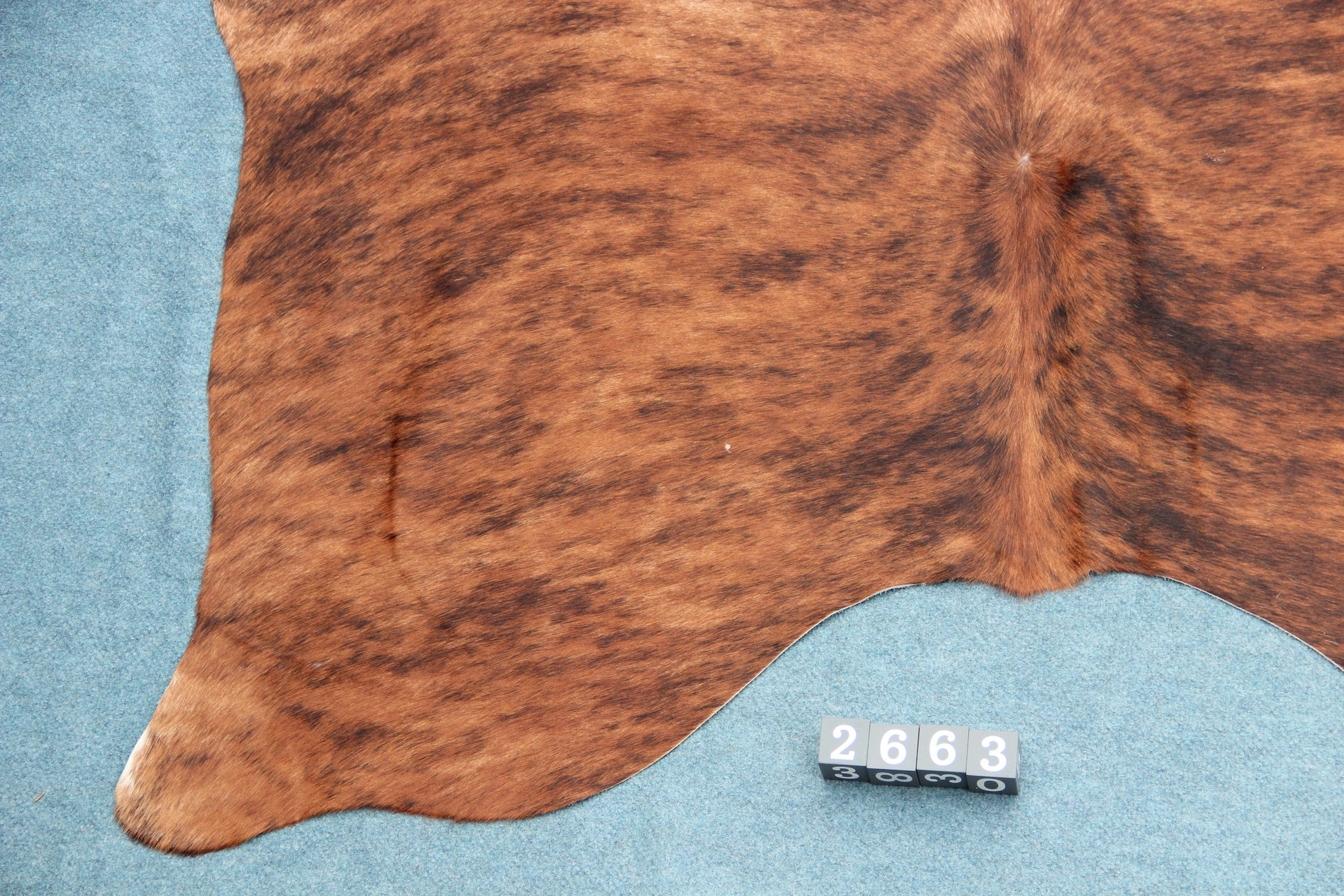 Kuhfell Braun Schwarz getigert (2663) 2-3 qm
