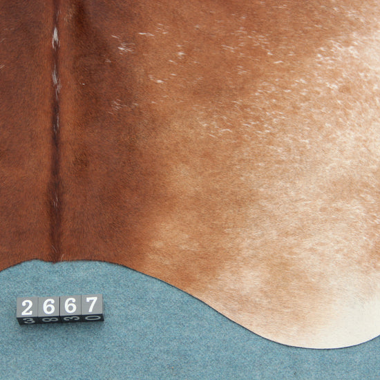 Kuhfell Beige Braun Weiß gesprenkelt (2667) 2-3 qm