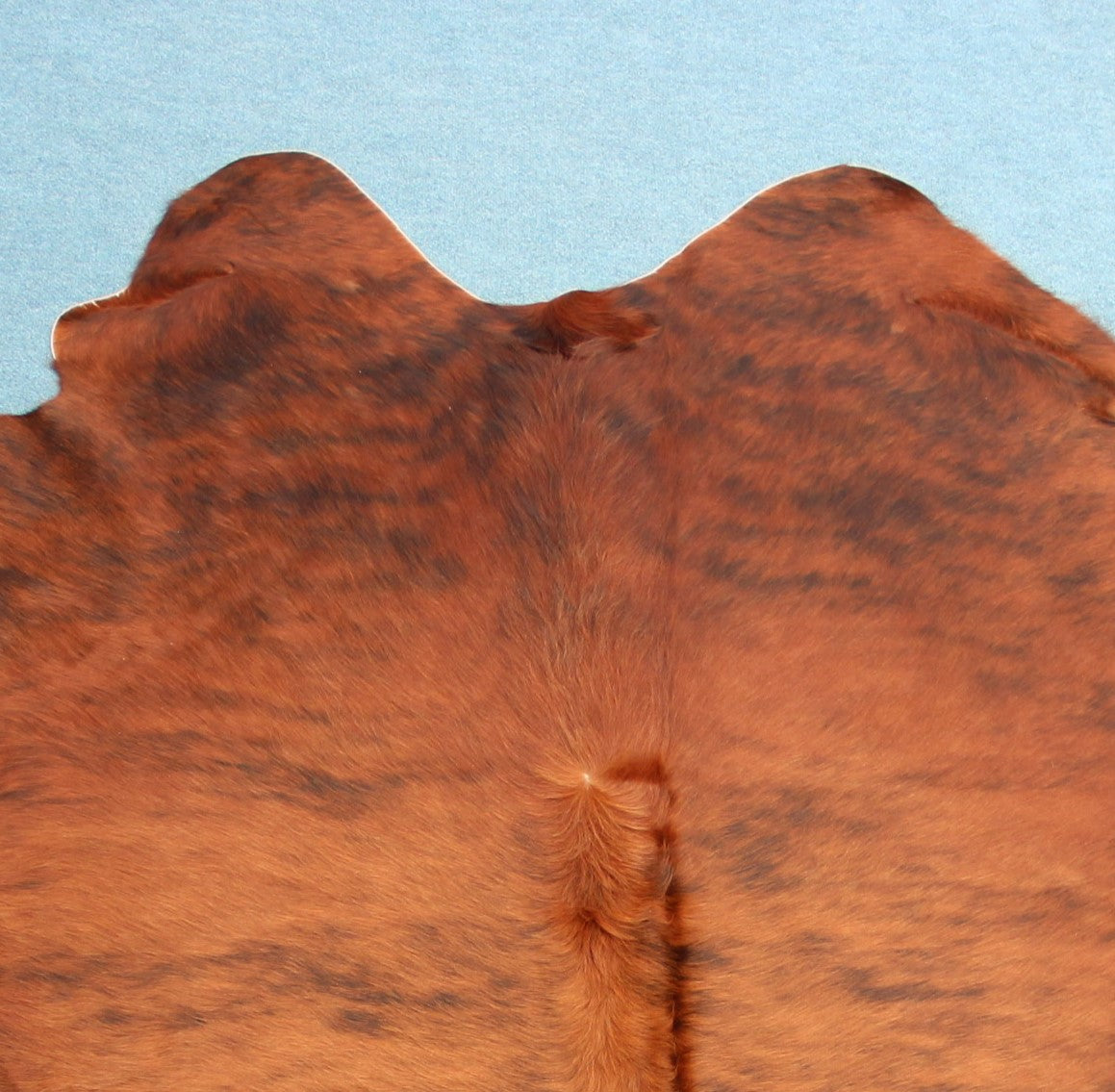 Kuhfell Schwarz Braun getigert (3450) 3 -4 qm