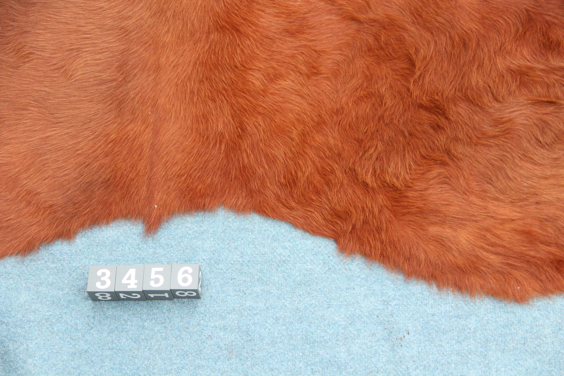 Kuhfell Braun Weiß (3456) 3 -4 qm