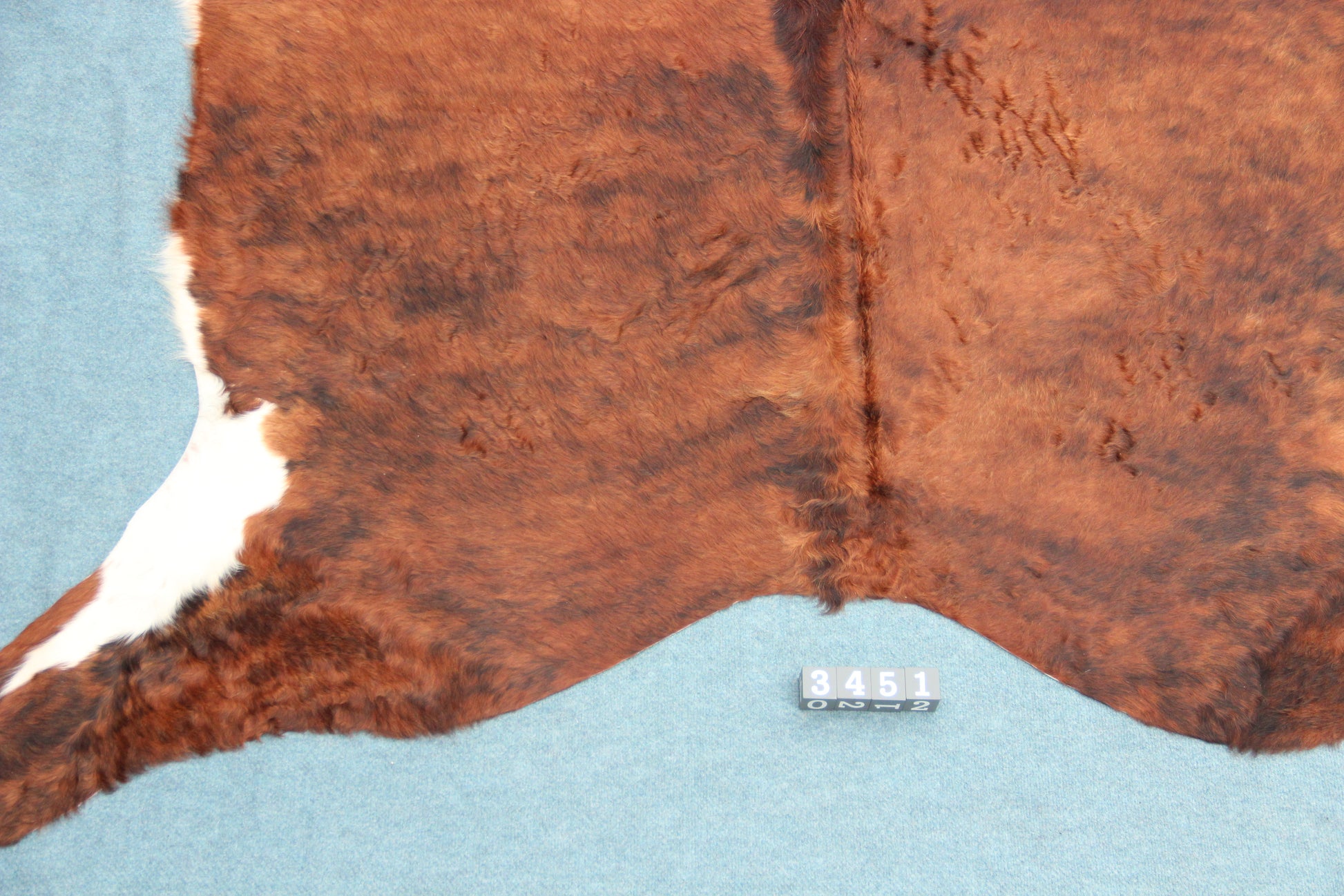 Kuhfell Schwarz Braun Weiß getigert (3451) 3 -4 qm Langhaar