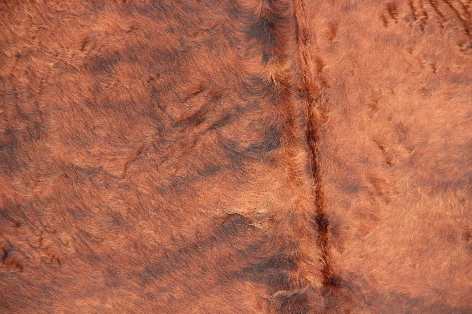 Kuhfell Schwarz Braun Weiß getigert (3451) 3 -4 qm Langhaar