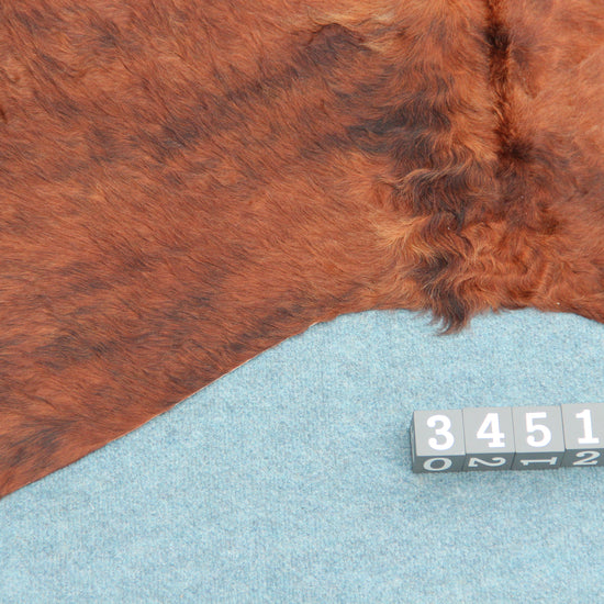 Kuhfell Schwarz Braun Weiß getigert (3451) 3 -4 qm Langhaar