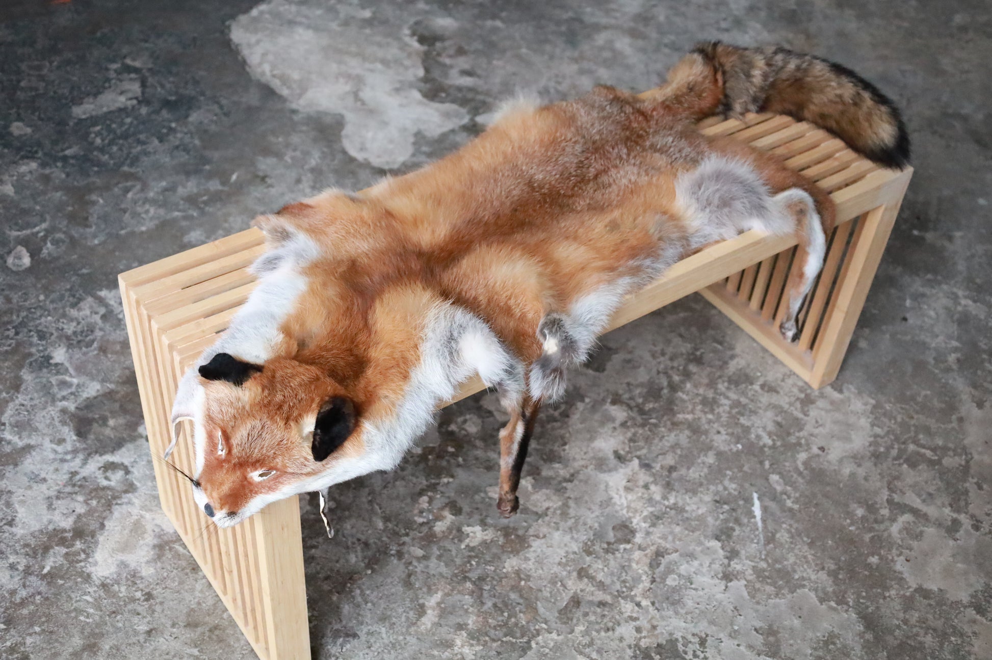 Weiches Rotfuchswinterfell  Ökologisch gegerbt (aus Deutschland)