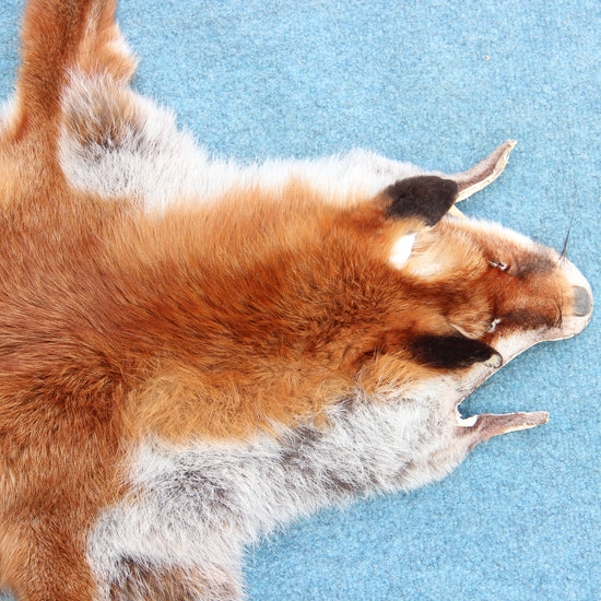 Weiches Rotfuchswinterfell  Ökologisch gegerbt (aus Deutschland)