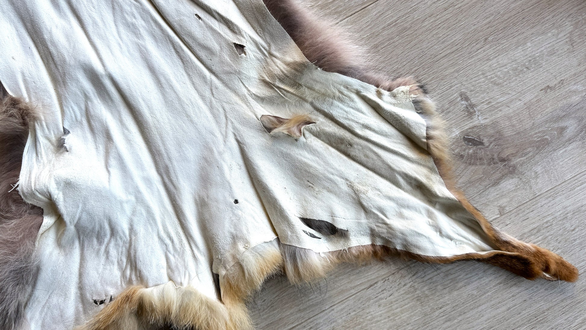 2. Wahl Fuchswinterfell  Ökologisch gegerbt (aus Deutschland)