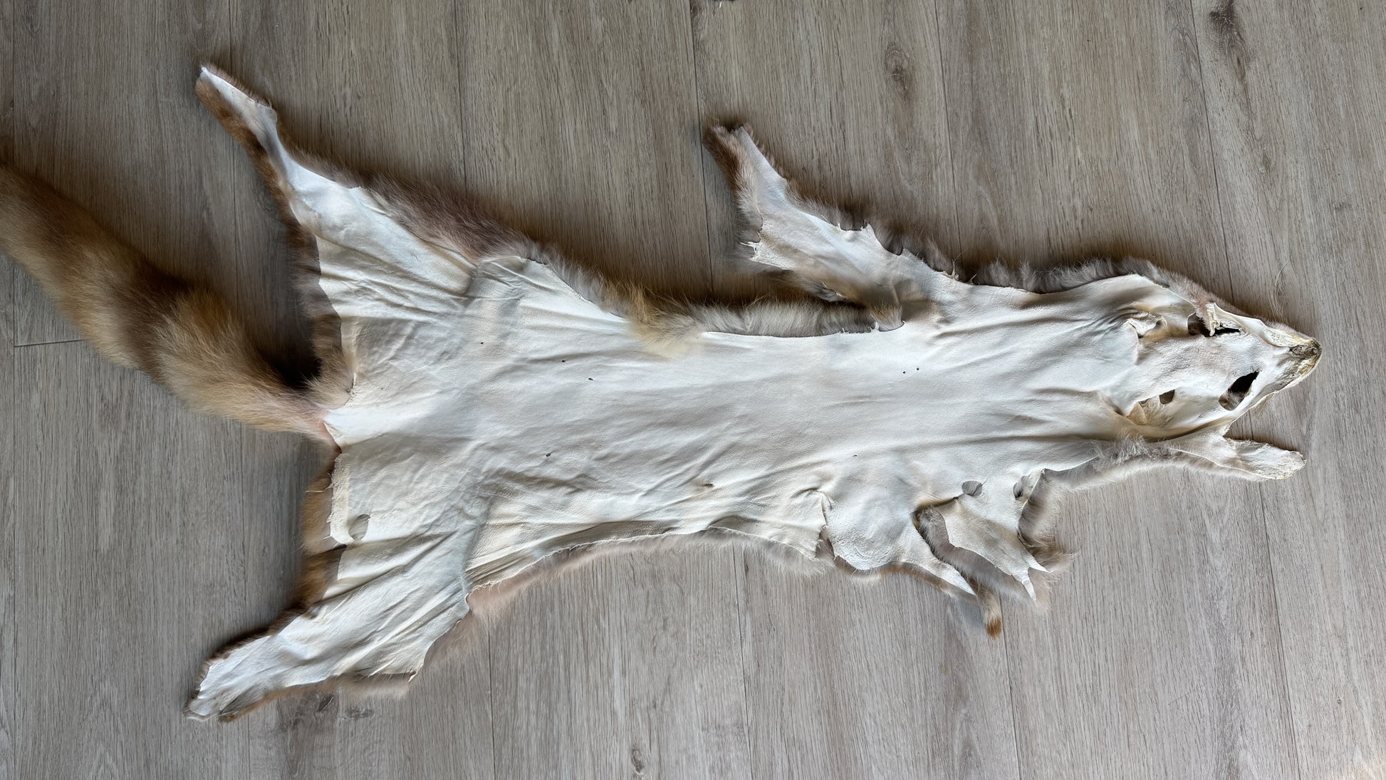 2. Wahl Fuchswinterfell  Ökologisch gegerbt (aus Deutschland)