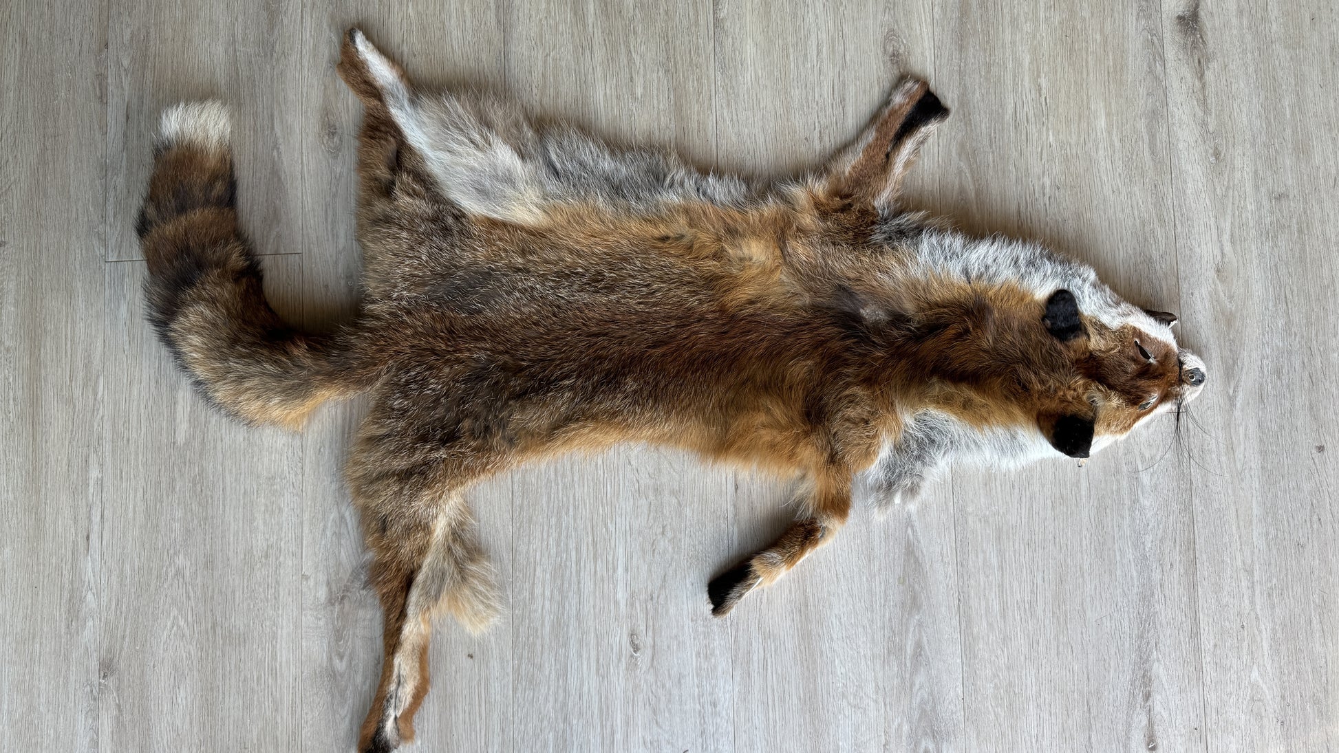 2. Wahl Fuchswinterfell  Ökologisch gegerbt (aus Deutschland)