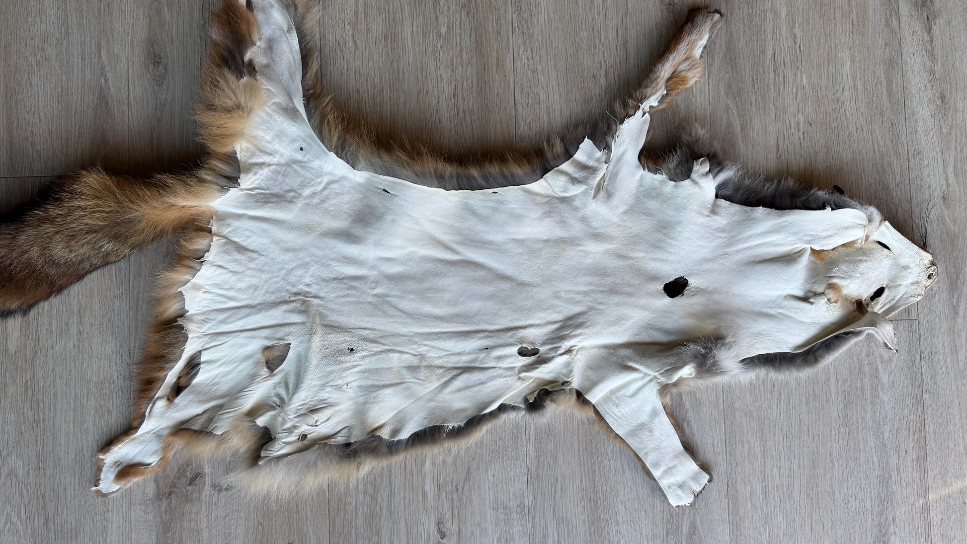 2. Wahl Fuchswinterfell  Ökologisch gegerbt (aus Deutschland)