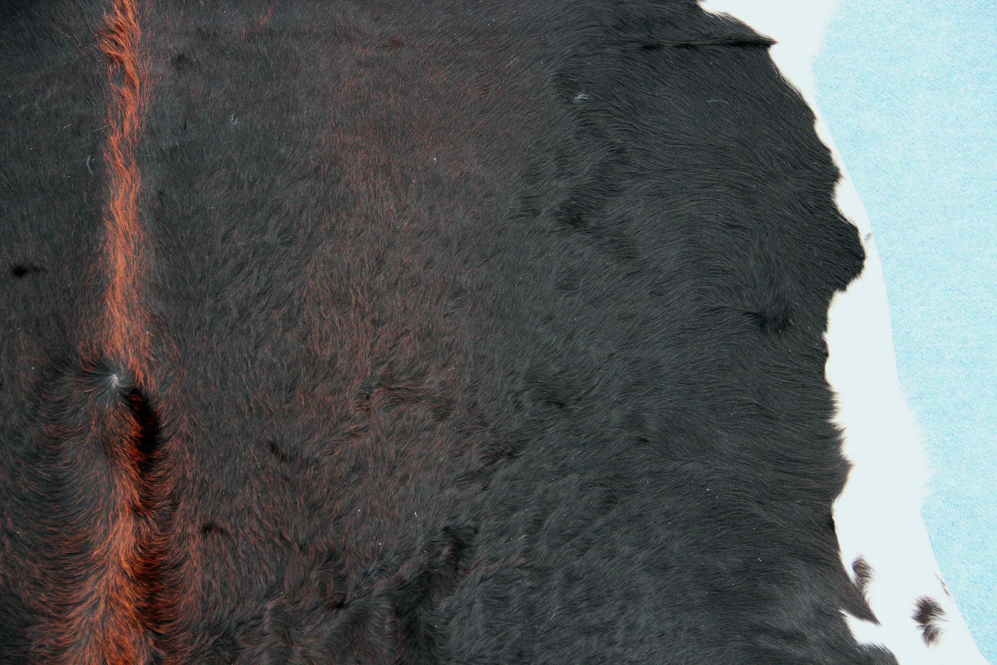 Kuhfell Schwarz Braun Weiß (3463) 3 -4 qm