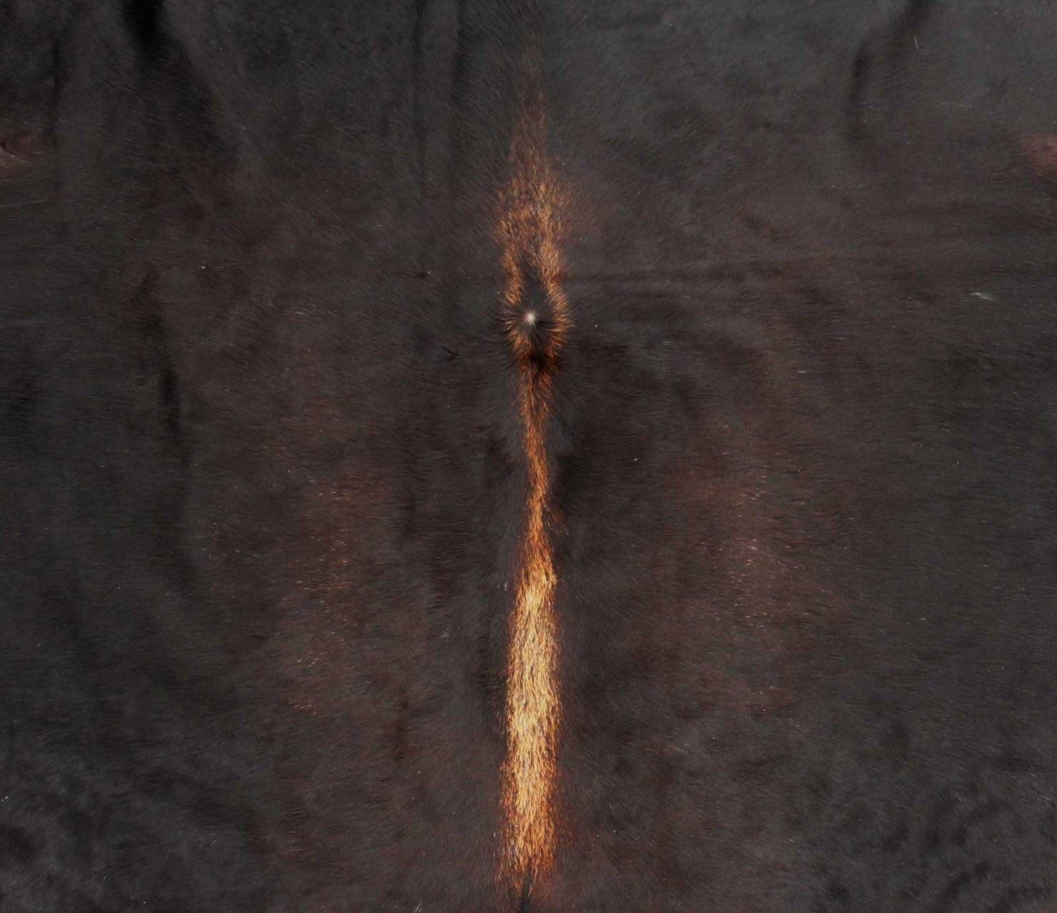 Kuhfell Schwarz Braun Weiß (3459) 3 -4 qm